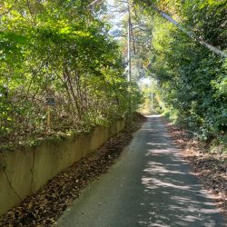 鳥栖市江島町　売地　41坪 画像7